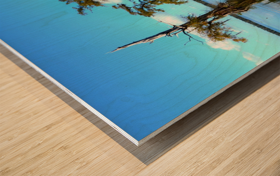Reflect Much Wood print