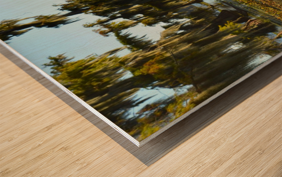 Blurred But Focused Wood print