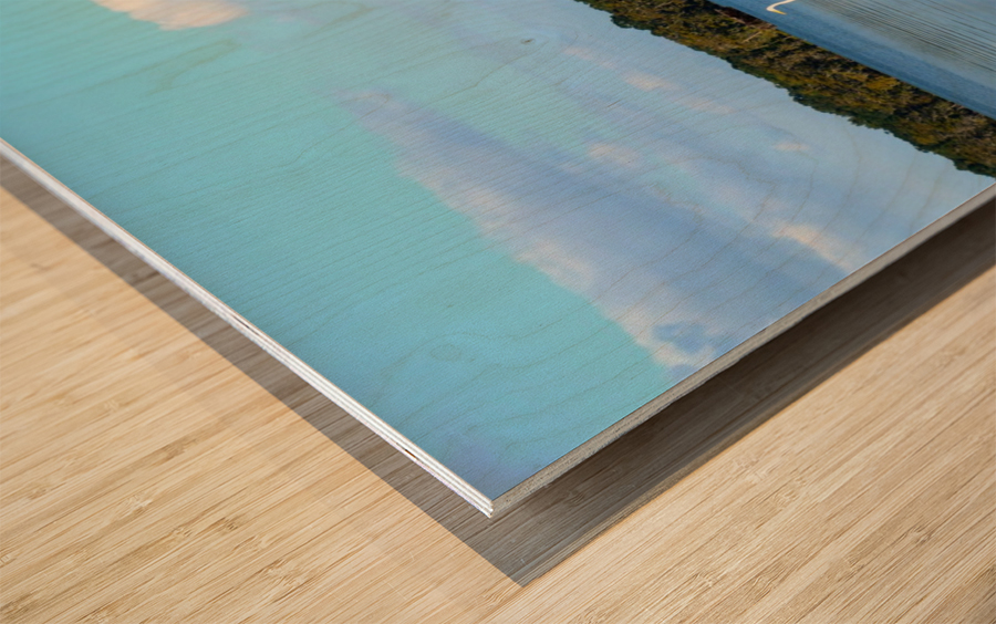 Swim or Not Wood print