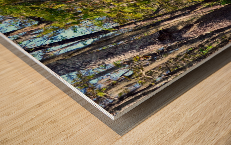 Travel My Path Wood print