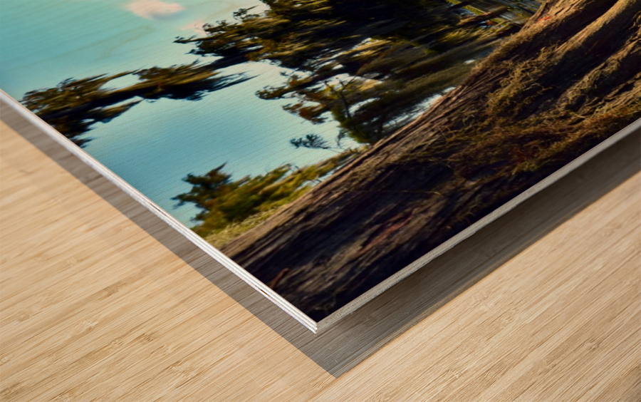 Seek Me Out Wood print