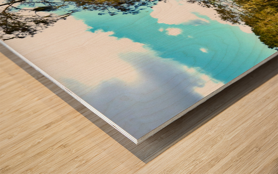 Dock Wood print