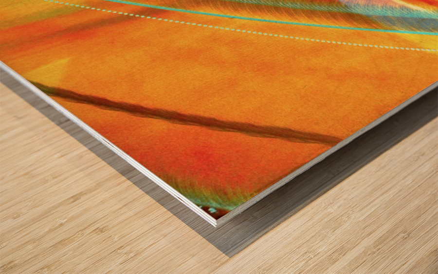 Illusion  Wood print