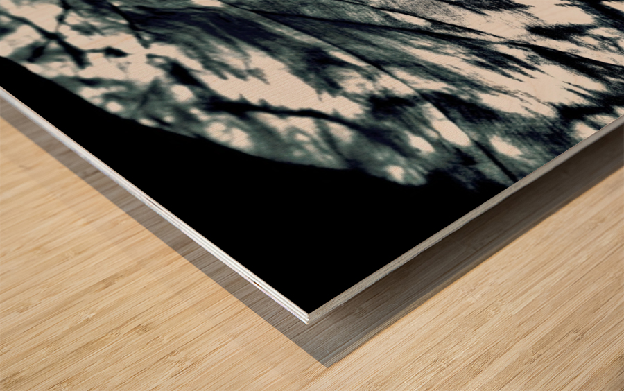 Where Does it Lay Wood print