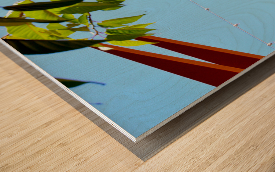 Light Up Wood print