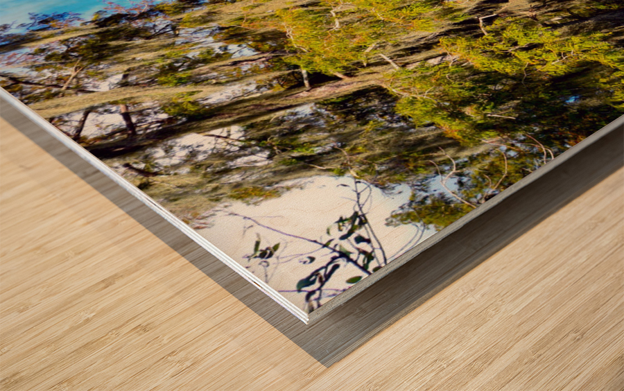 Cannot Look Away Wood print