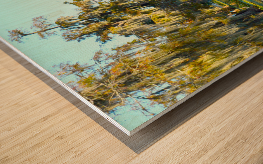Copycat  Wood print