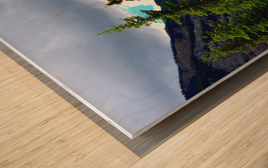 Perspective Approves Wood print