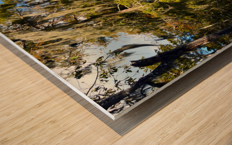 Where to Next Wood print