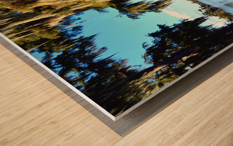 Perfect Nook Wood print