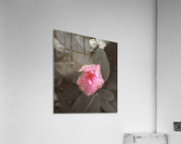 Pink Pop Acrylic Print
