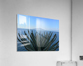 Mount Vesuvius Acrylic Print