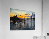Sullivans Island Sunset Acrylic Print