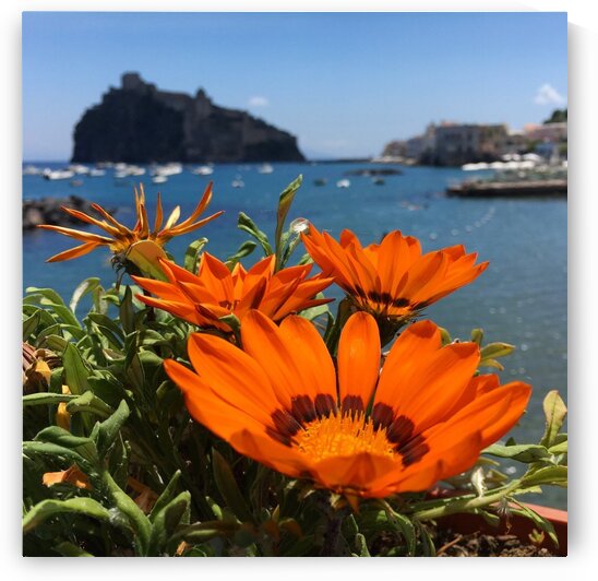 Ischia Italy by Greg Brzozowski