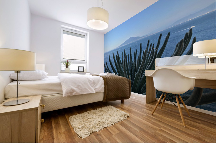 Mount Vesuvius Mural print
