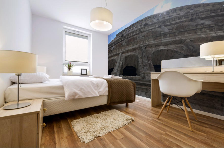 The Colosseum Mural print
