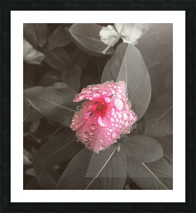 Pink Pop Picture Frame print