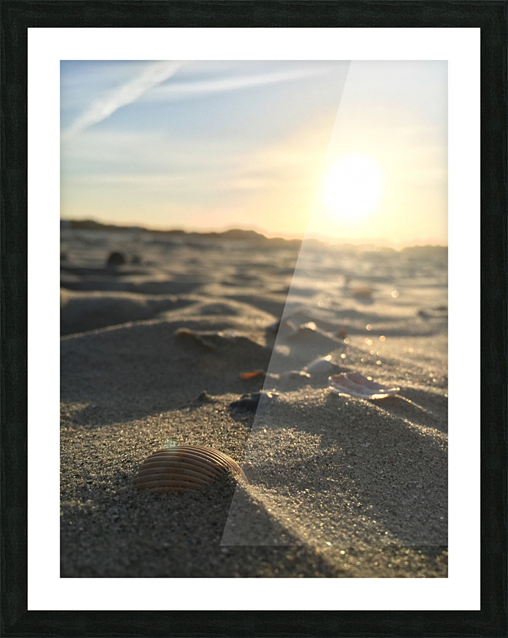Seashell Sunset Picture Frame print