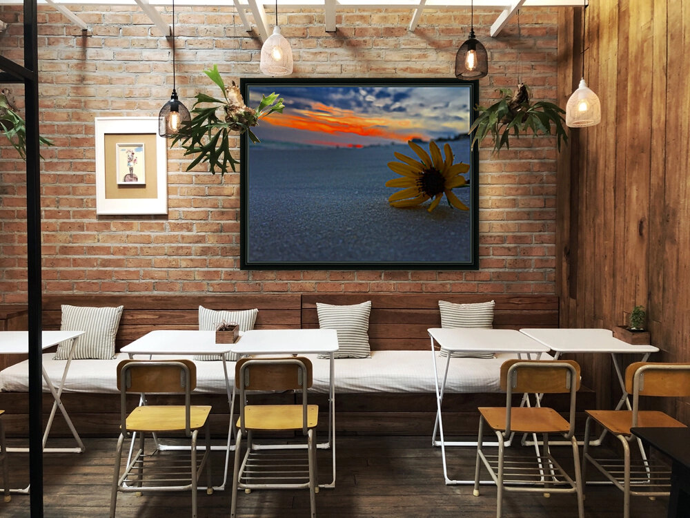 Sunflower Sunset Reproduction