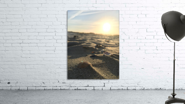 Seashell Sunset Wall Preview