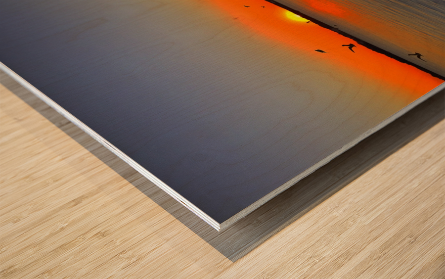 Marina Sunset Wood print