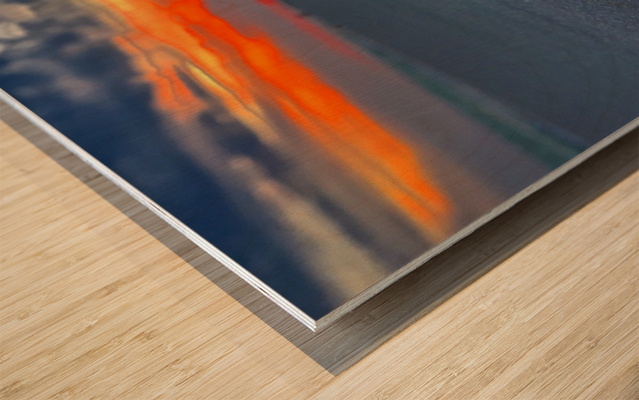 Sunflower Sunset Wood print