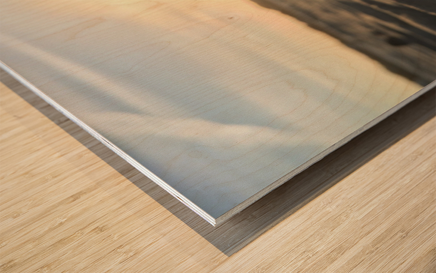 Seashell Sunset Wood print