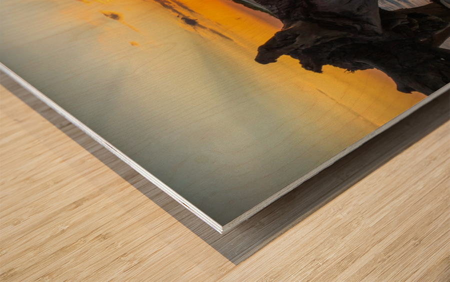 Sullivans Island Sunset Wood print