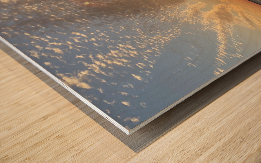 Sullivans Sunset Wood print
