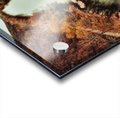 Rapid Acrylic print