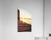 Grain Acrylic Print