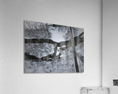 Directional  Acrylic Print