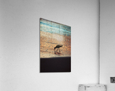 Early Bird Acrylic Print