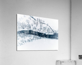 Trickle Acrylic Print