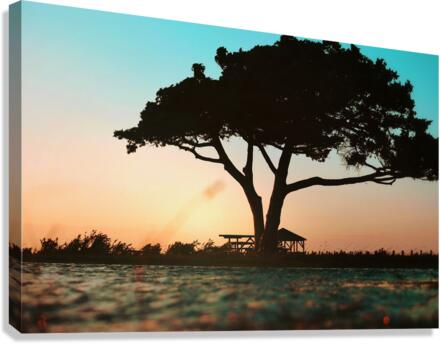 Lonely picnic Canvas Print