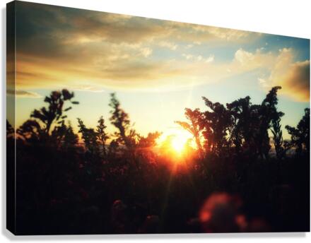 Nature Speaks Canvas Print