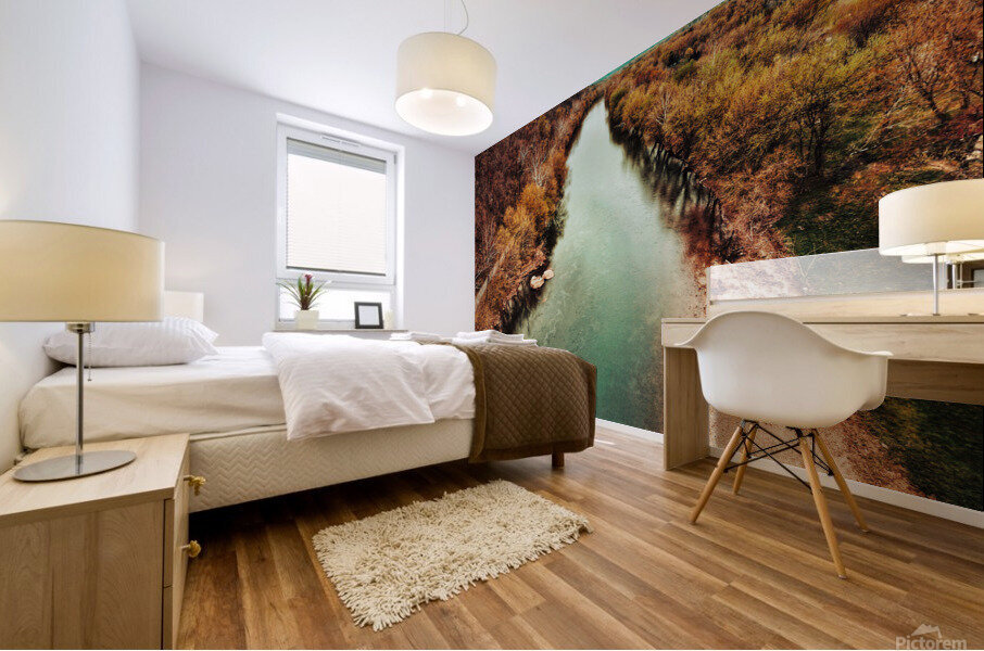 Rapid Mural print