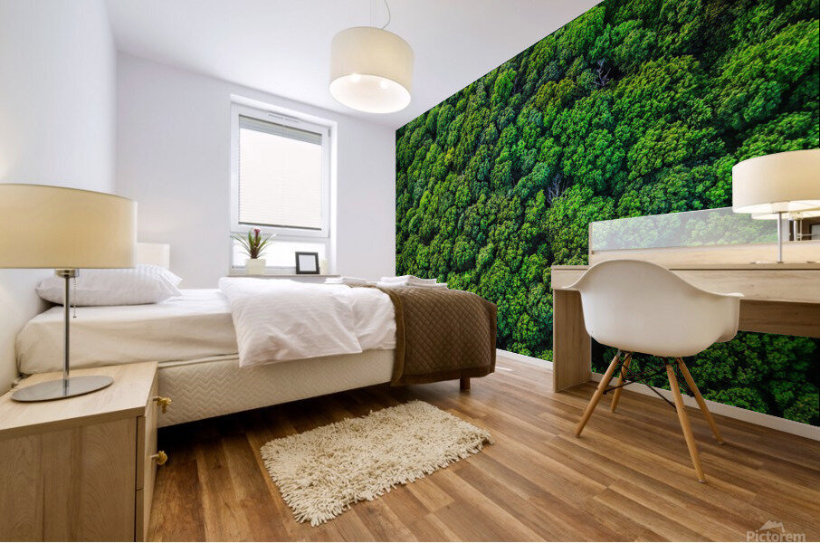 Broccoli Trees Mural print