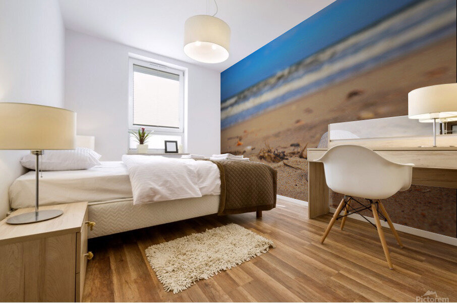 Shells rest Mural print