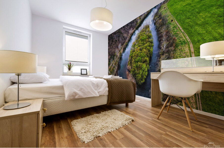 Around Mural print