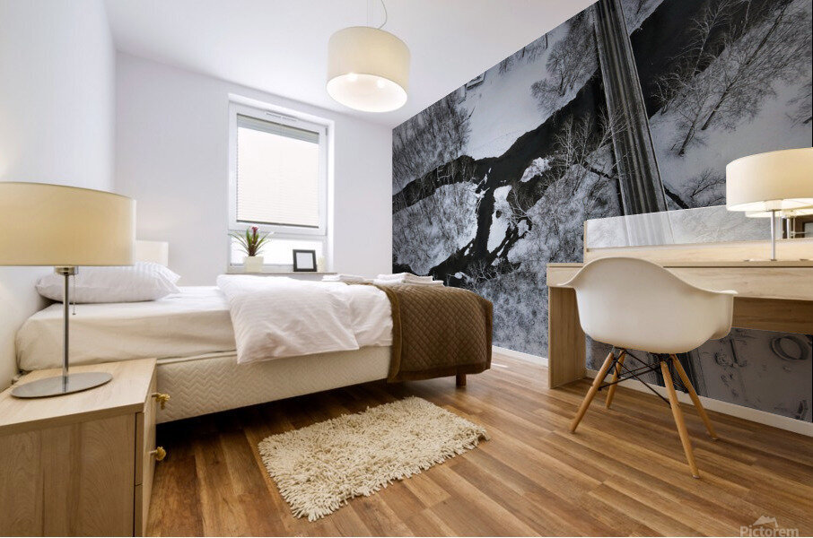 Directional  Mural print