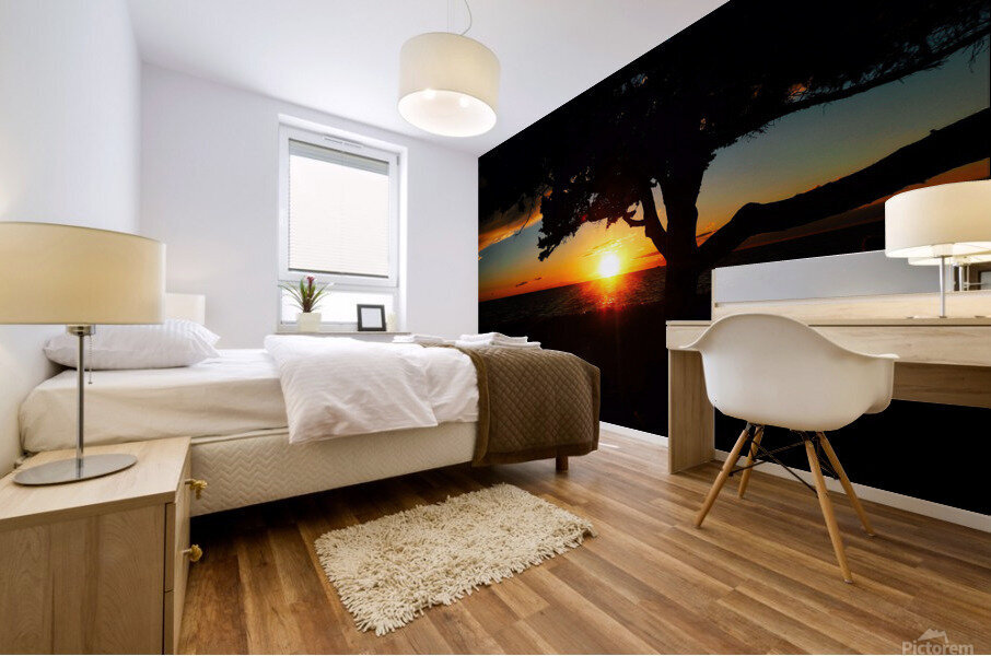 Fin Mural print