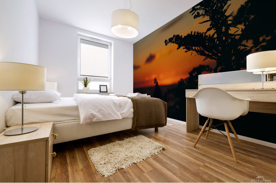 Orange Mural print