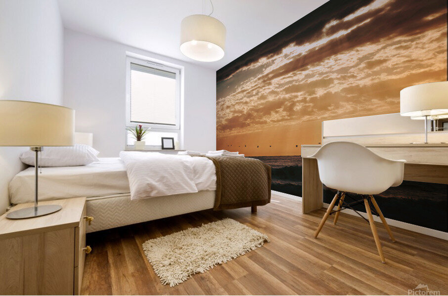 Flight Mural print