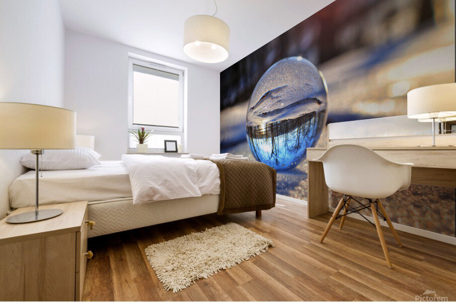 Frozen Perspective Mural print