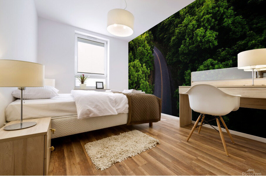 Passage Mural print