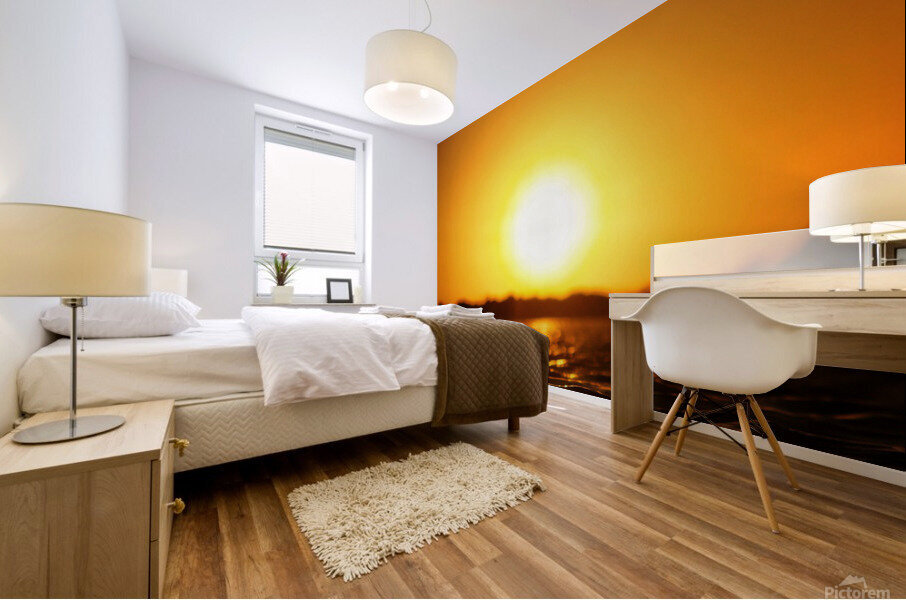 Fin sun Mural print
