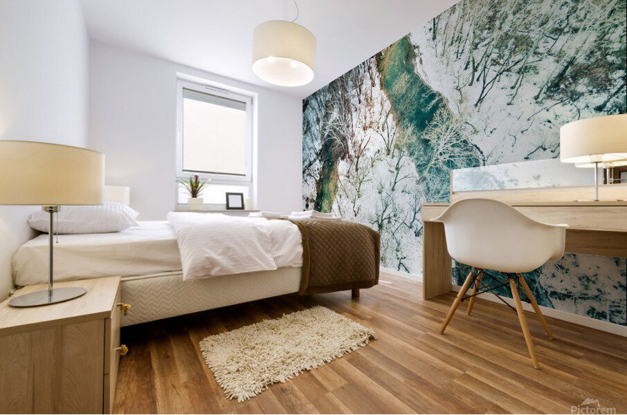 Twin Pixels Mural print