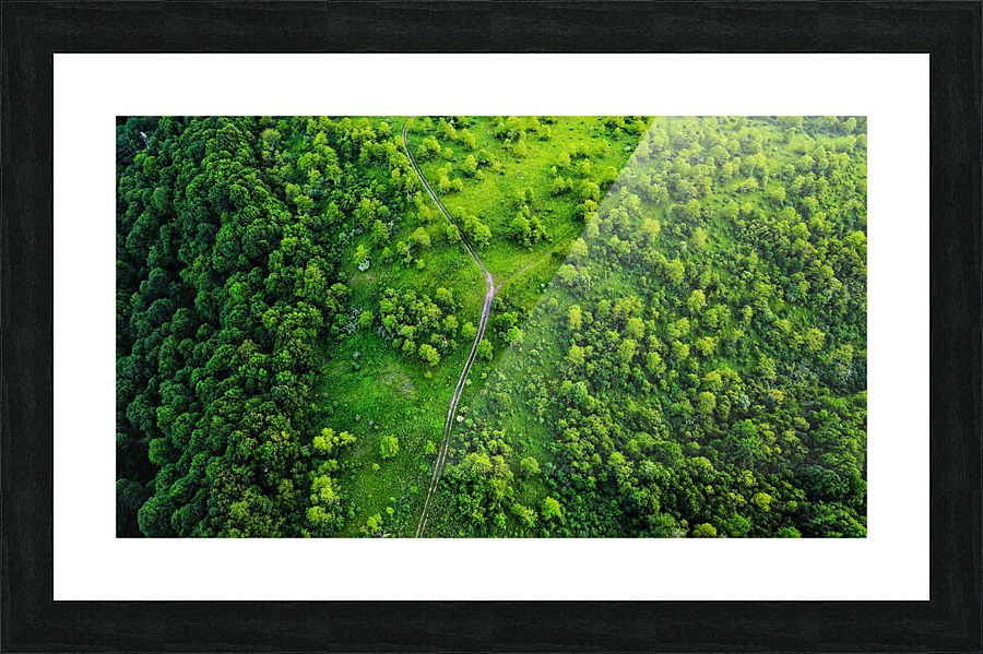 Green Picture Frame print