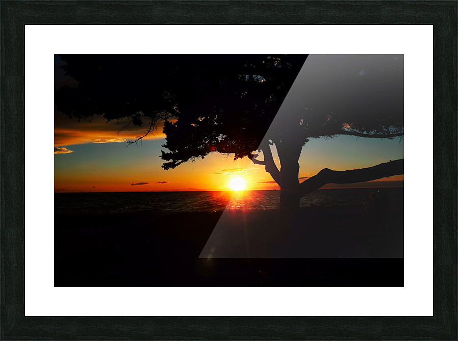 Fin Picture Frame print